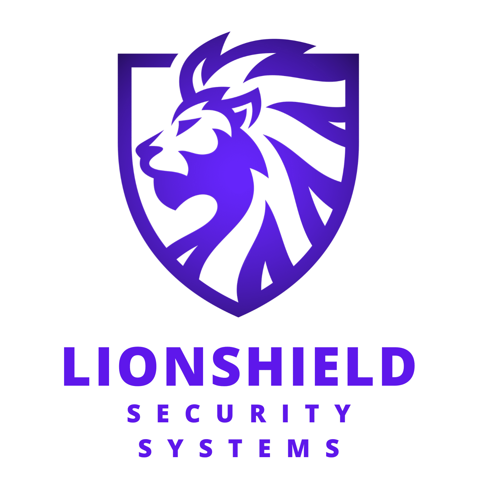 LionShield – Security Systems
